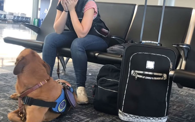 Service dog at airport notices owner starts to shake. Footage of his